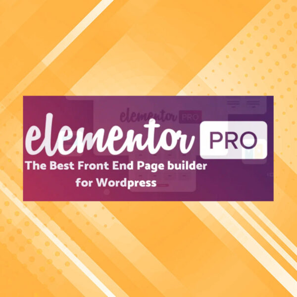 Elementor Pro